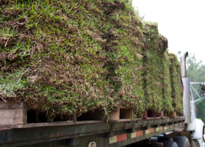 sod delivery lakeland fl